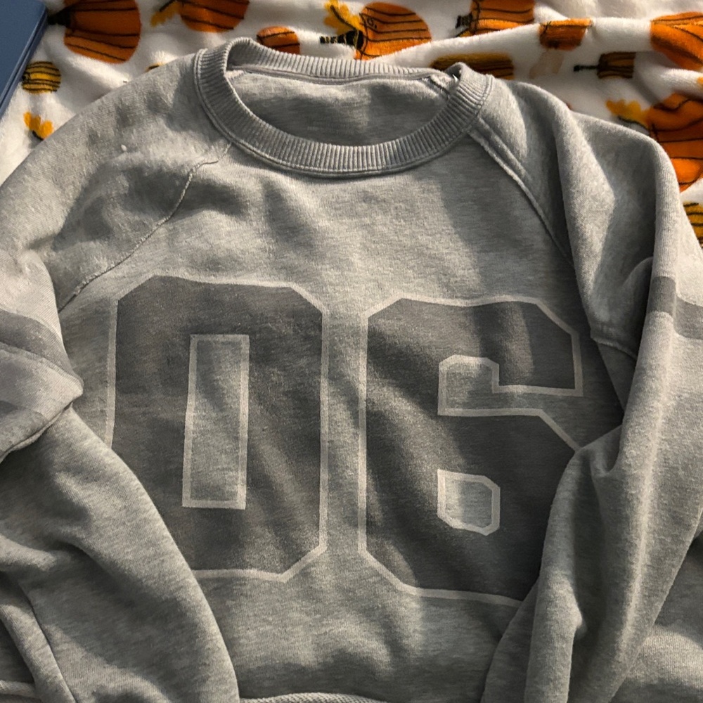 Aerie Gray Graphic V-Neck Sweater